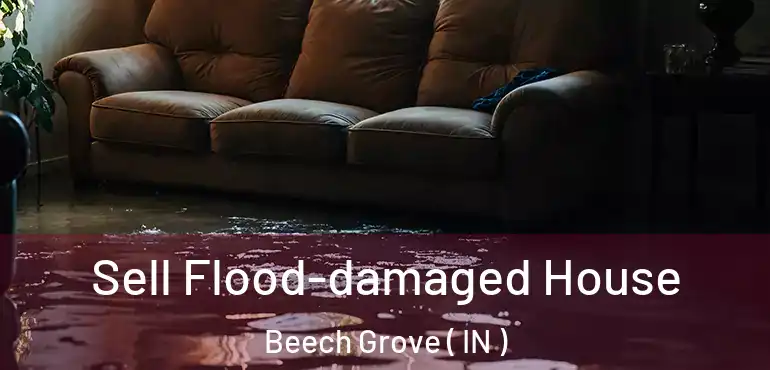  Sell Flood-damaged House Beech Grove ( IN )