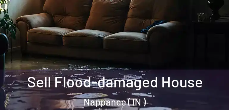  Sell Flood-damaged House Nappanee ( IN )