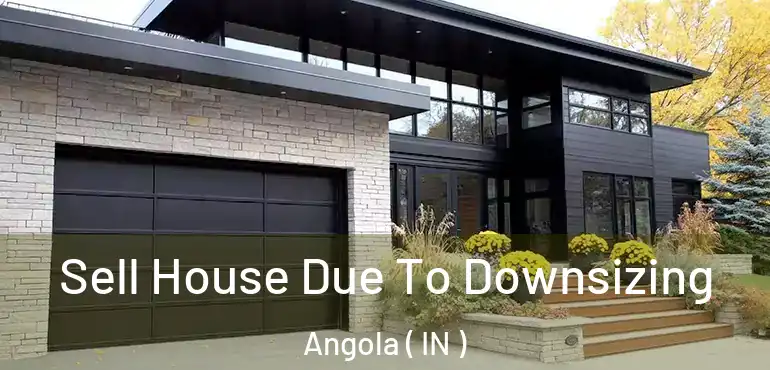 Sell House Due To Downsizing Angola ( IN )
