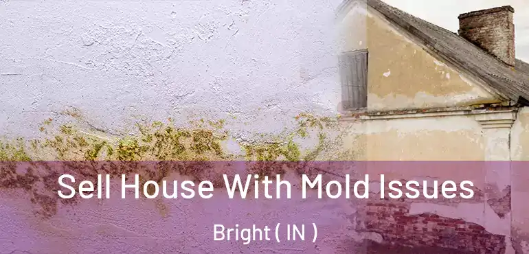 Sell House With Mold Issues Bright ( IN )