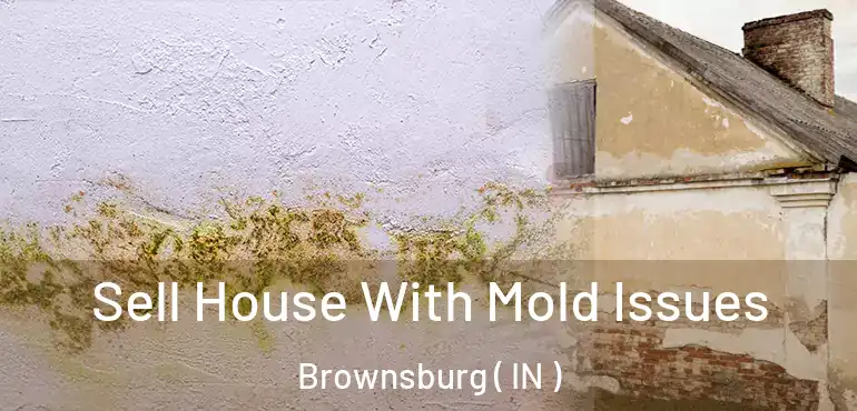 Sell House With Mold Issues Brownsburg ( IN )