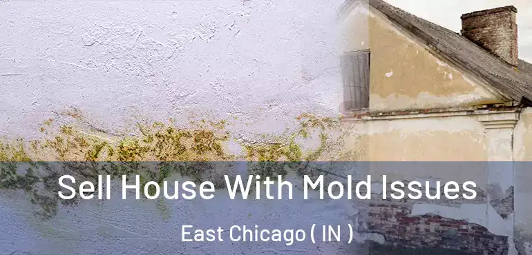 Sell House With Mold Issues East Chicago ( IN )