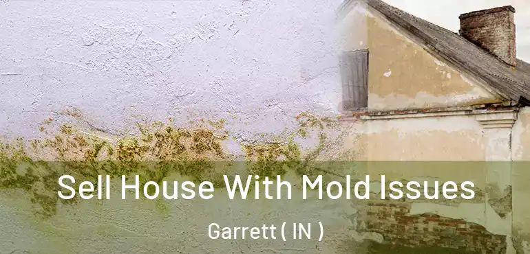 Sell House With Mold Issues Garrett ( IN )