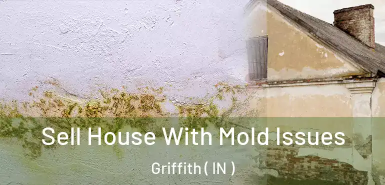 Sell House With Mold Issues Griffith ( IN )