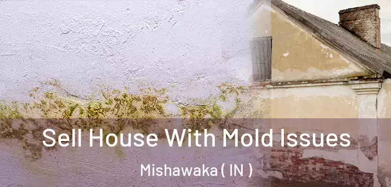  Sell House With Mold Issues Mishawaka ( IN )
