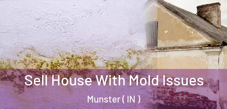 Sell House With Mold Issues Munster ( IN )