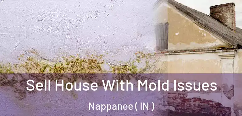 Sell House With Mold Issues Nappanee ( IN )