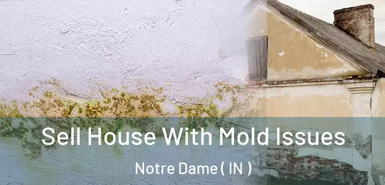 Sell House With Mold Issues Notre Dame ( IN )