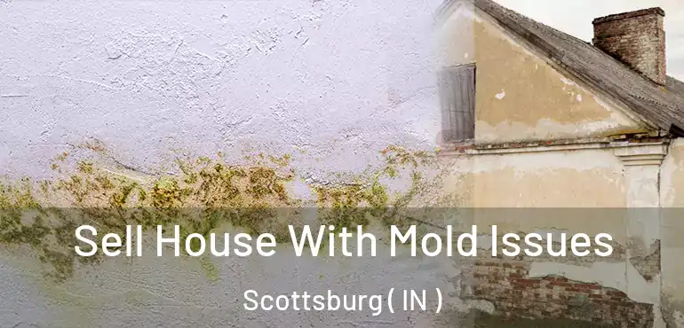 Sell House With Mold Issues Scottsburg ( IN )
