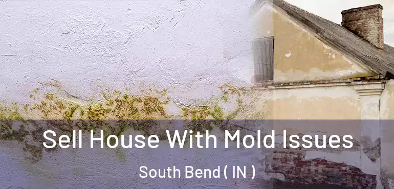  Sell House With Mold Issues South Bend ( IN )