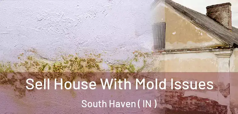 Sell House With Mold Issues South Haven ( IN )