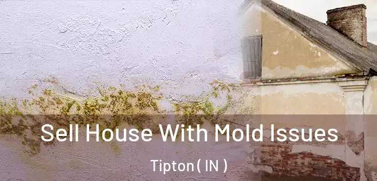 Sell House With Mold Issues Tipton ( IN )