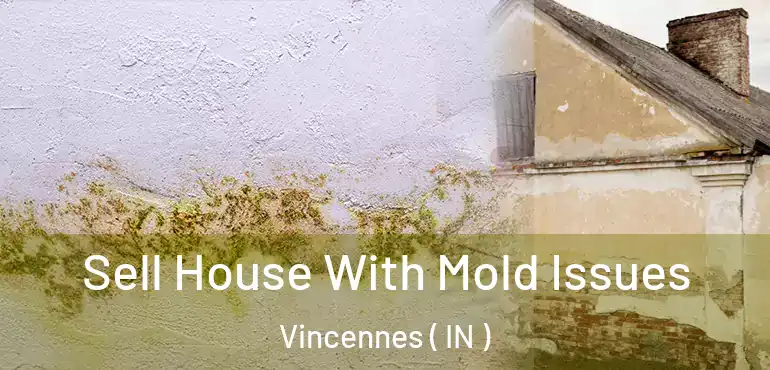 Sell House With Mold Issues Vincennes ( IN )