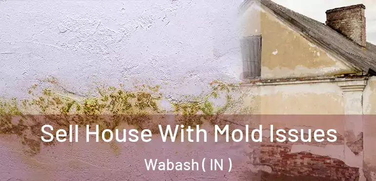 Sell House With Mold Issues Wabash ( IN )