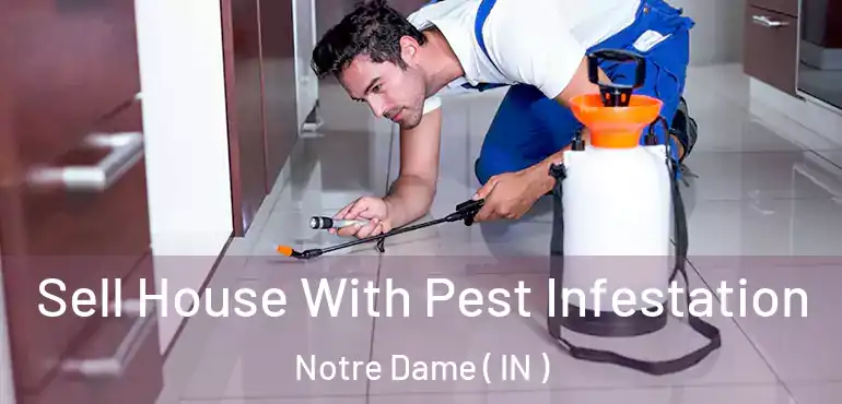  Sell House With Pest Infestation Notre Dame ( IN )
