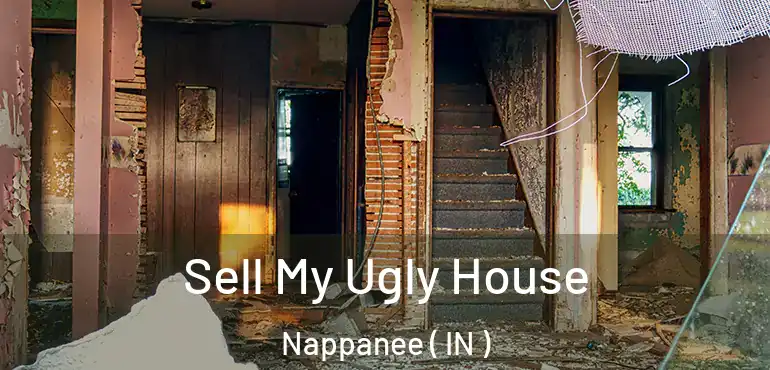 Sell My Ugly House Nappanee ( IN )