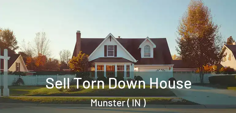  Sell Torn Down House Munster ( IN )